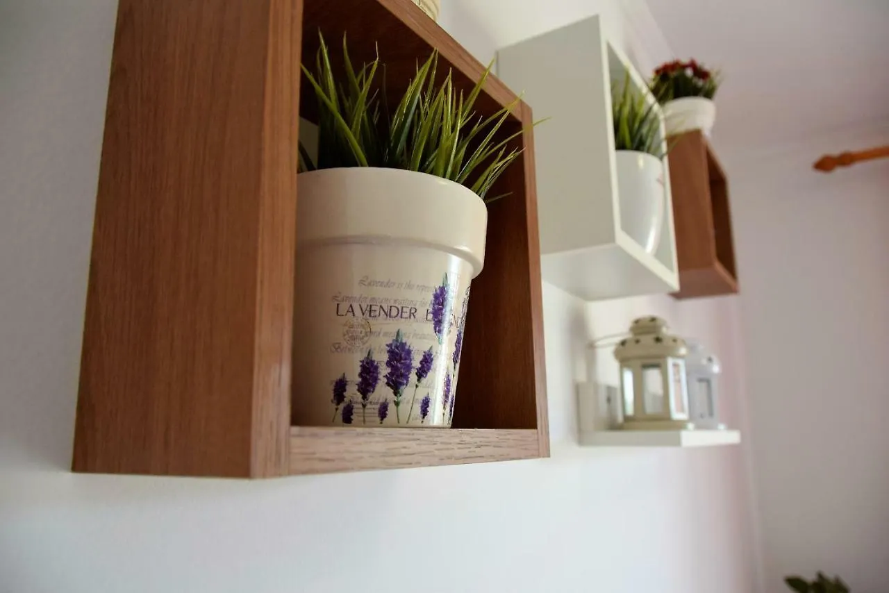 Apartments Kampor كرواتيا